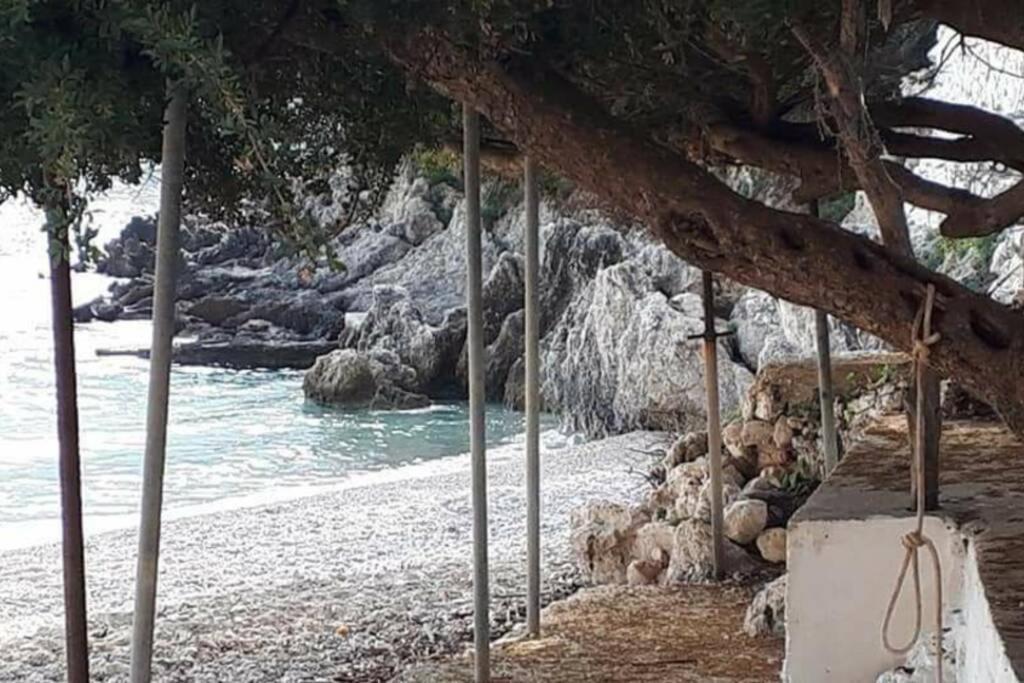 Manto Apartments Lefkada Evgiros 外观 照片
